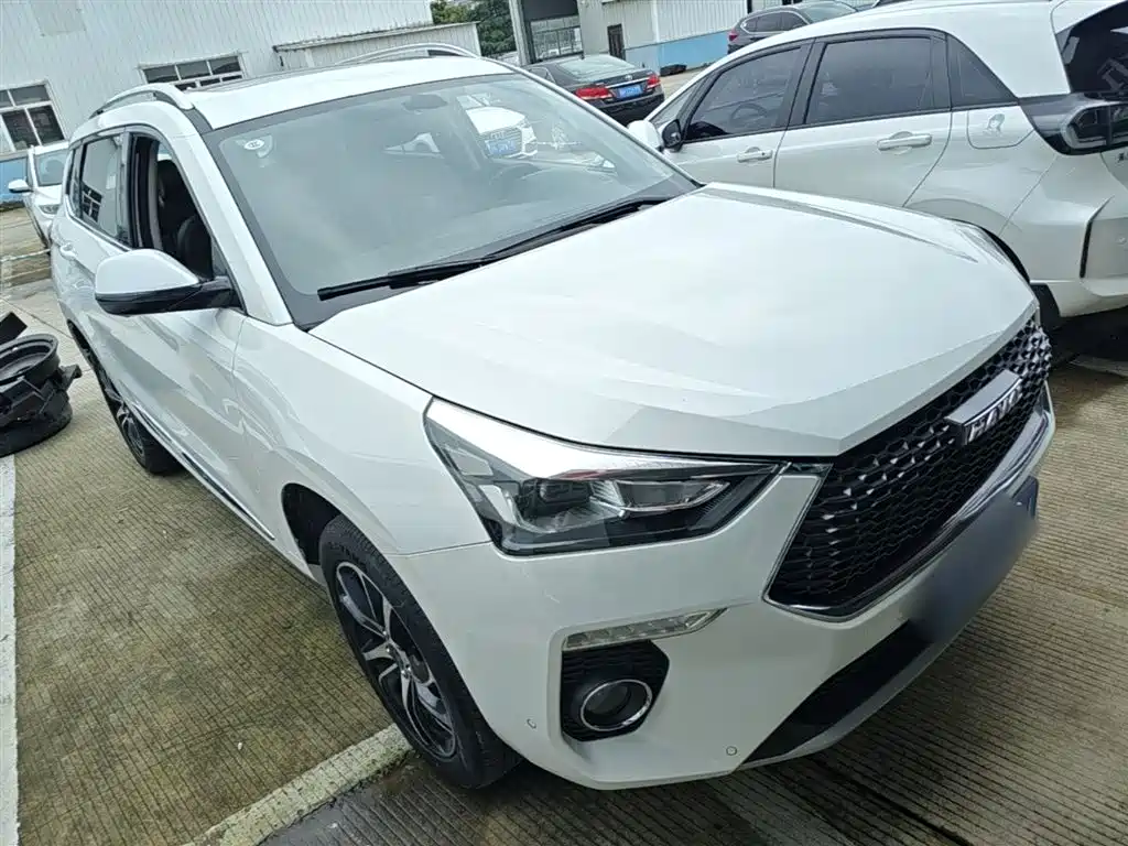 Haval H6 Coupe 2018 Red Label 1.5T Auto 2WD Ultra Luxury фото 4