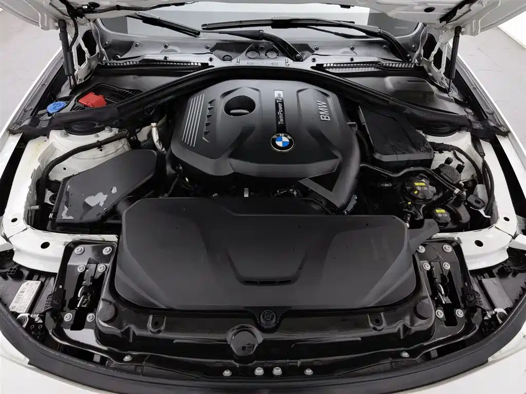 BMW 3 Series 2018 320Li xDrive Fashion Style фото 6