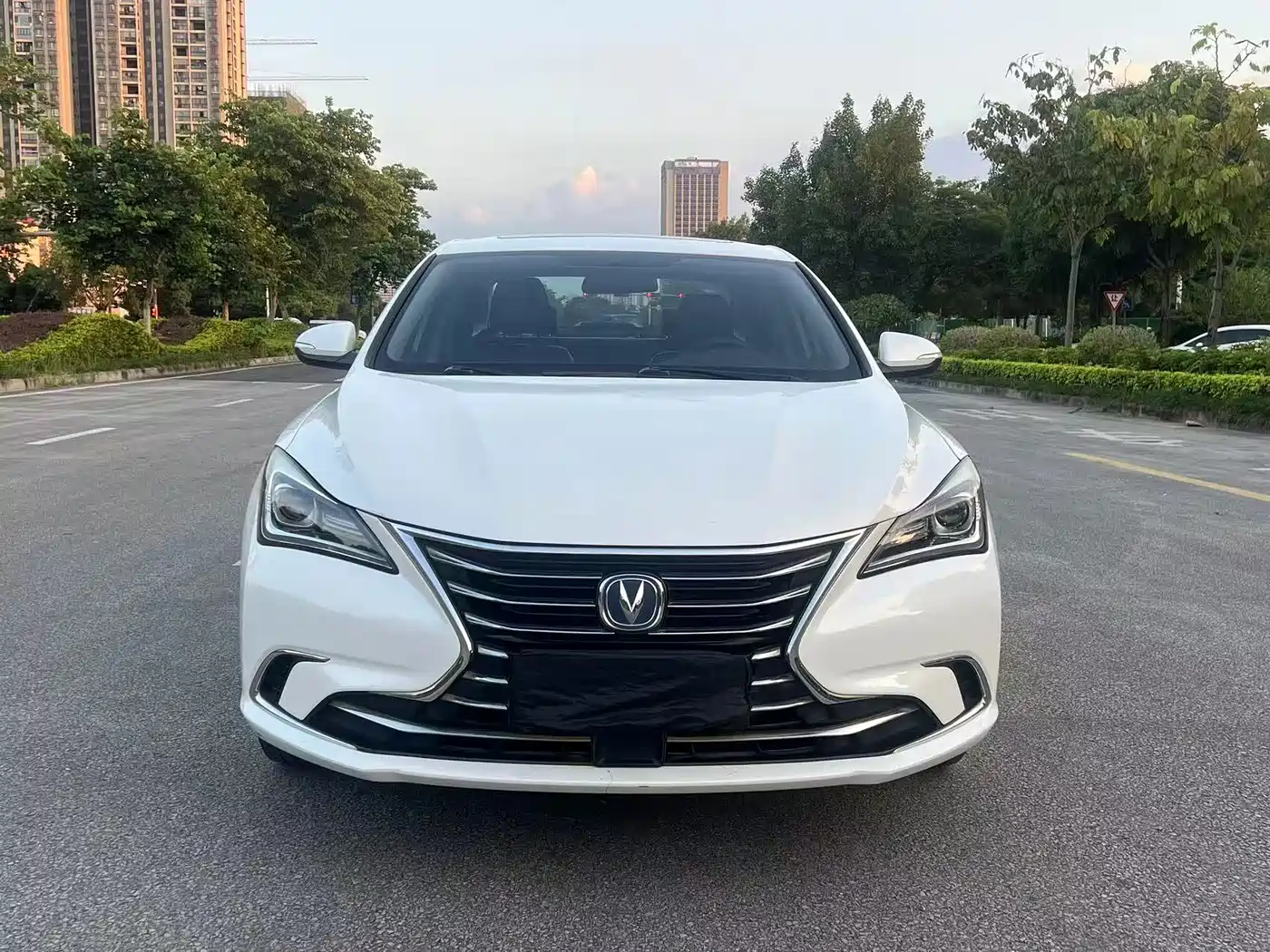 Фото 2 - Changan Eado