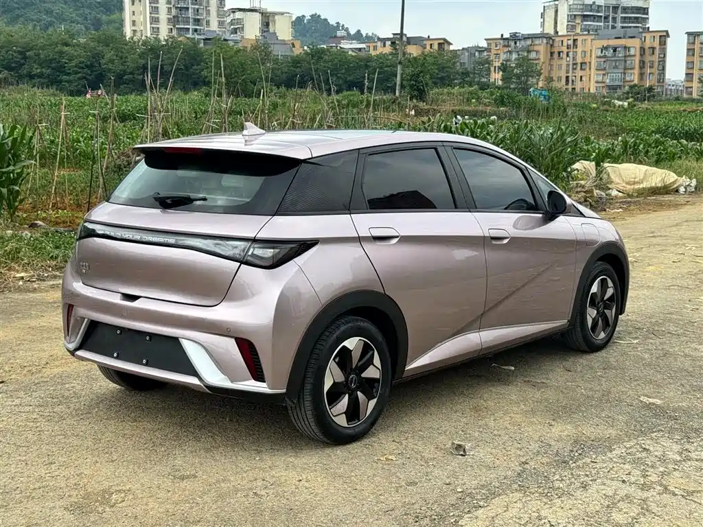 BYD Dolphin 2025 420km Fashion Edition фото 4
