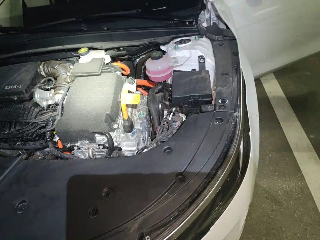 BYD Destroyer 05 2025 2024 Glory Edition DM-i 55KM Luxury