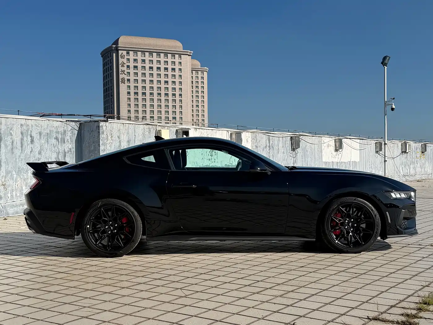 Ford Mustang, миниатюра 4