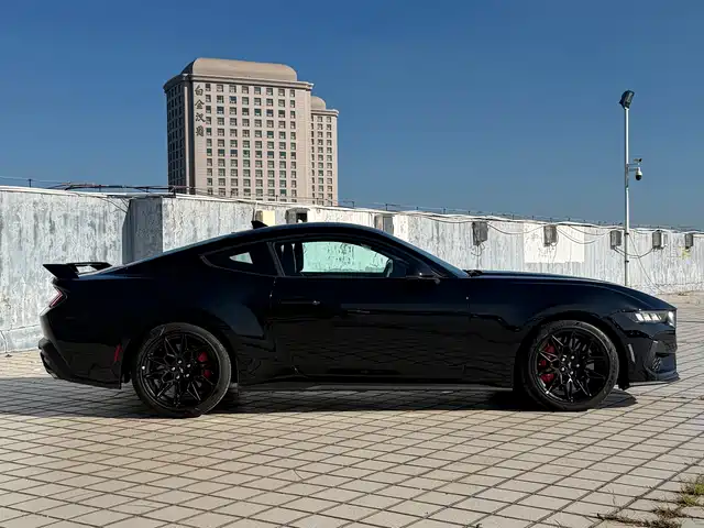 Ford Mustang 2024 2.3T EcoBoost Coupe Performance Edition — фото 4