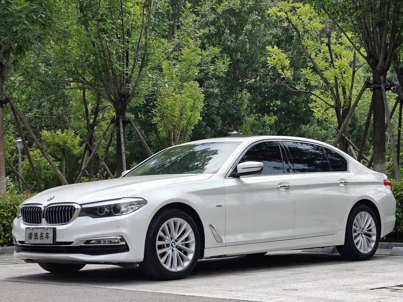 BMW 5 Series 2018 Facelift 530Li xDrive Luxury Package фото 2