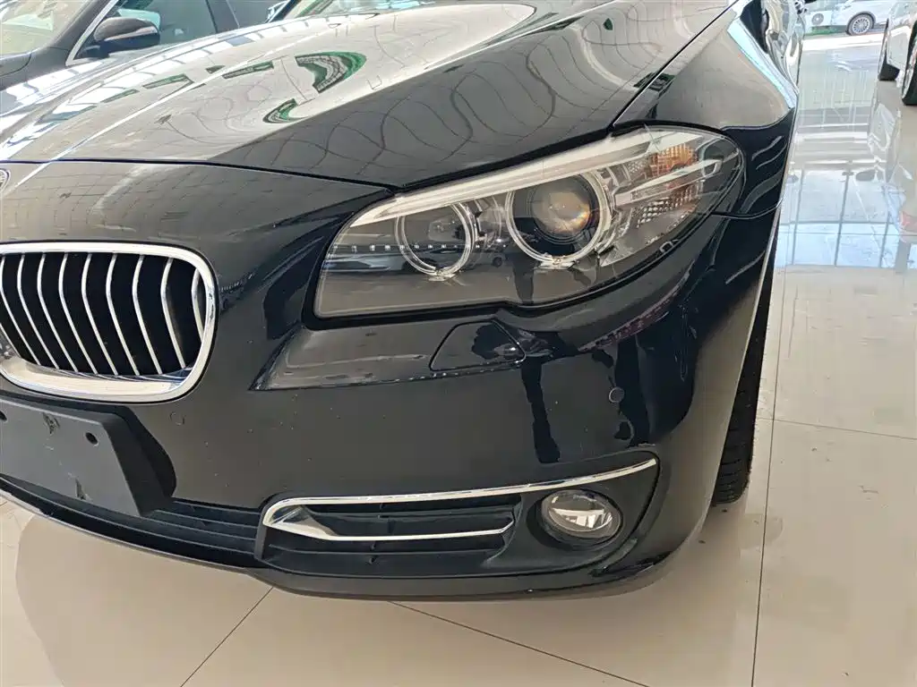 BMW 5 Series 2017 525Li Luxury Design Package фото 18