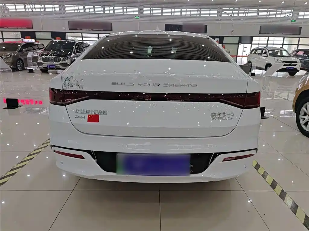 BYD Qin PLUS 2024 Glory Edition DM-i 55KM Leading фото 6