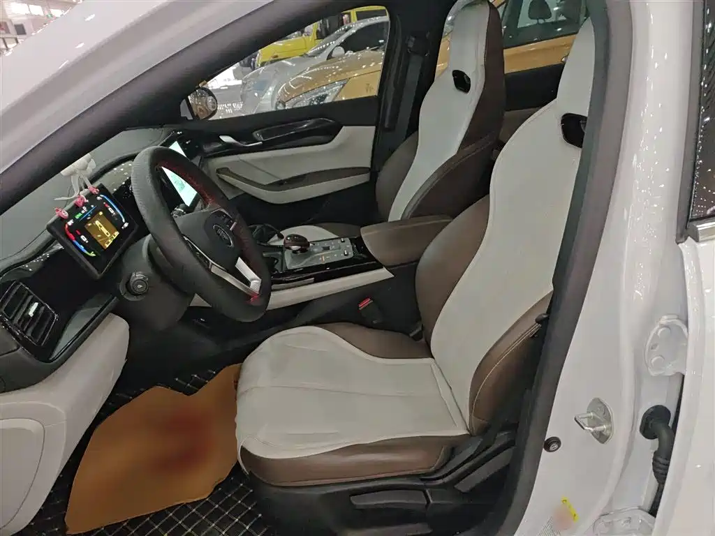 BYD Qin PLUS 2024 Glory Edition DM-i 55KM Leading фото 15