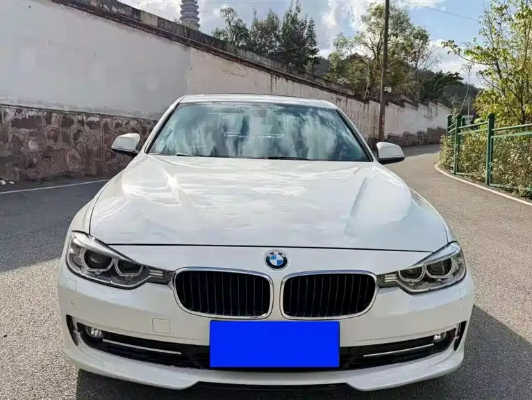 BMW 3 Series 2015 320Li Fashion фото 2