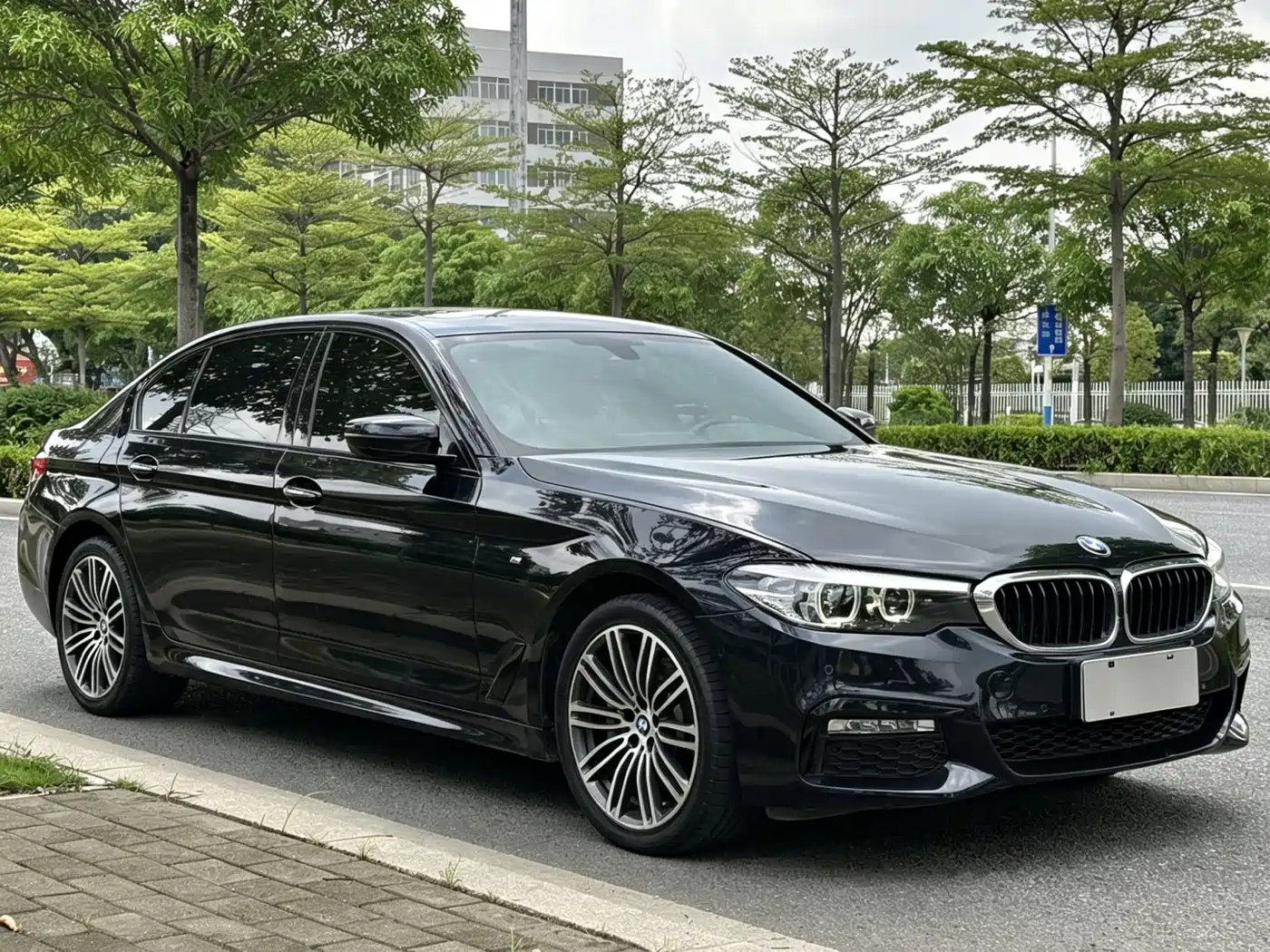 BMW 5 Series 2018 530Li Leading M Sport Package фото 3