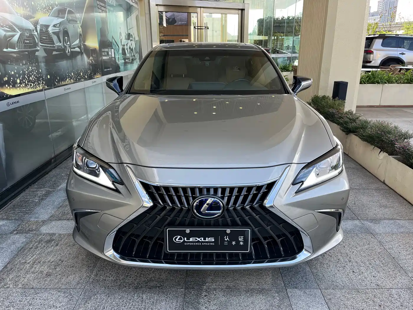 Lexus ES 2021 300h Excellence Edition фото 2