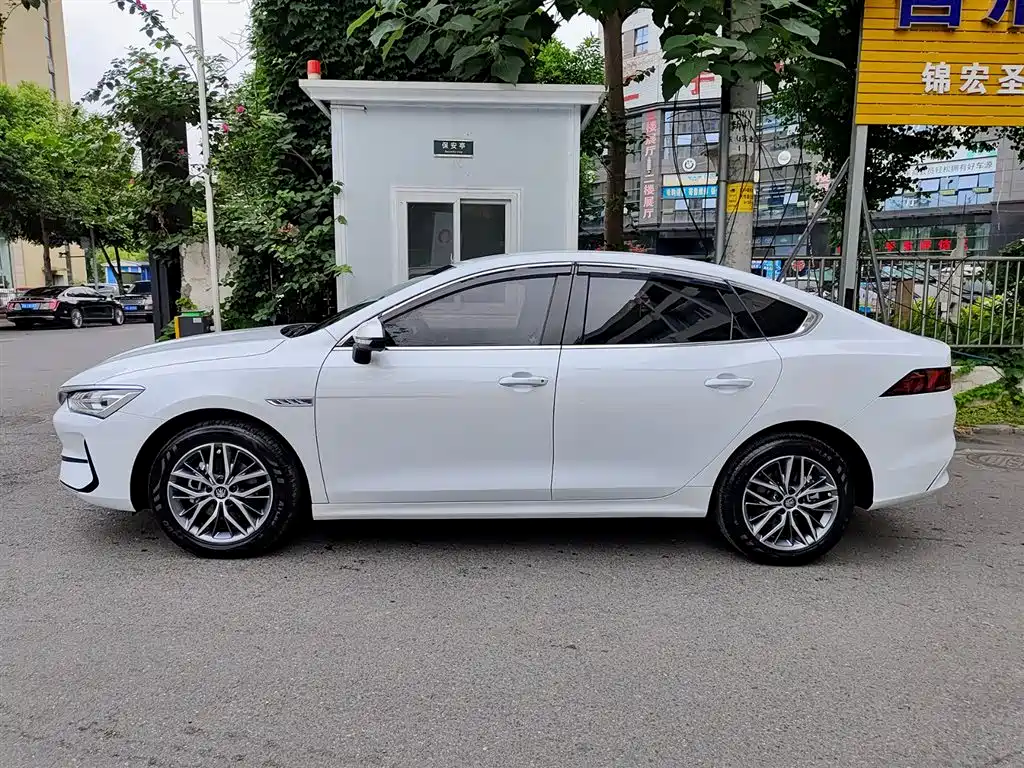 BYD Qin PLUS 2024 Glory Edition EV 420KM Leading фото 3