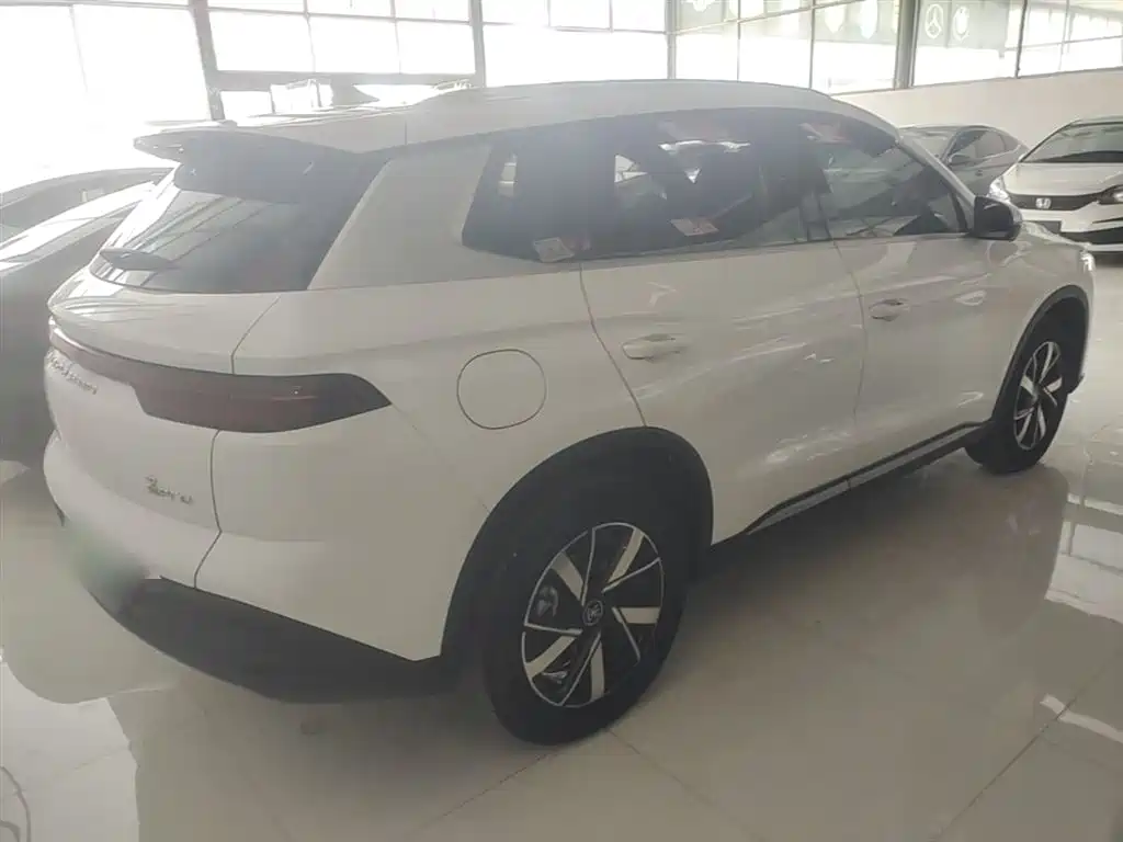 BYD Song Pro New Energy 2024 Glory Edition DM-i 71KM Pilot фото 7