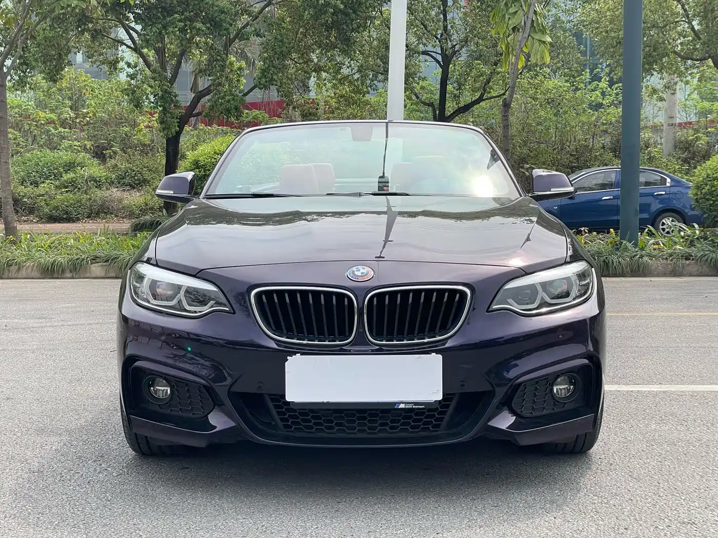 BMW 2 Series (Import) 2019 225i Convertible Coupe Exclusive M Sport Package фото 2
