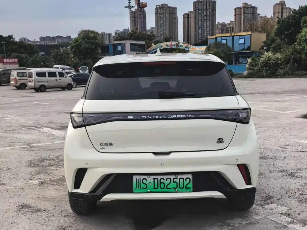 BYD Dolphin 2023 420km Freedom Edition фото 4