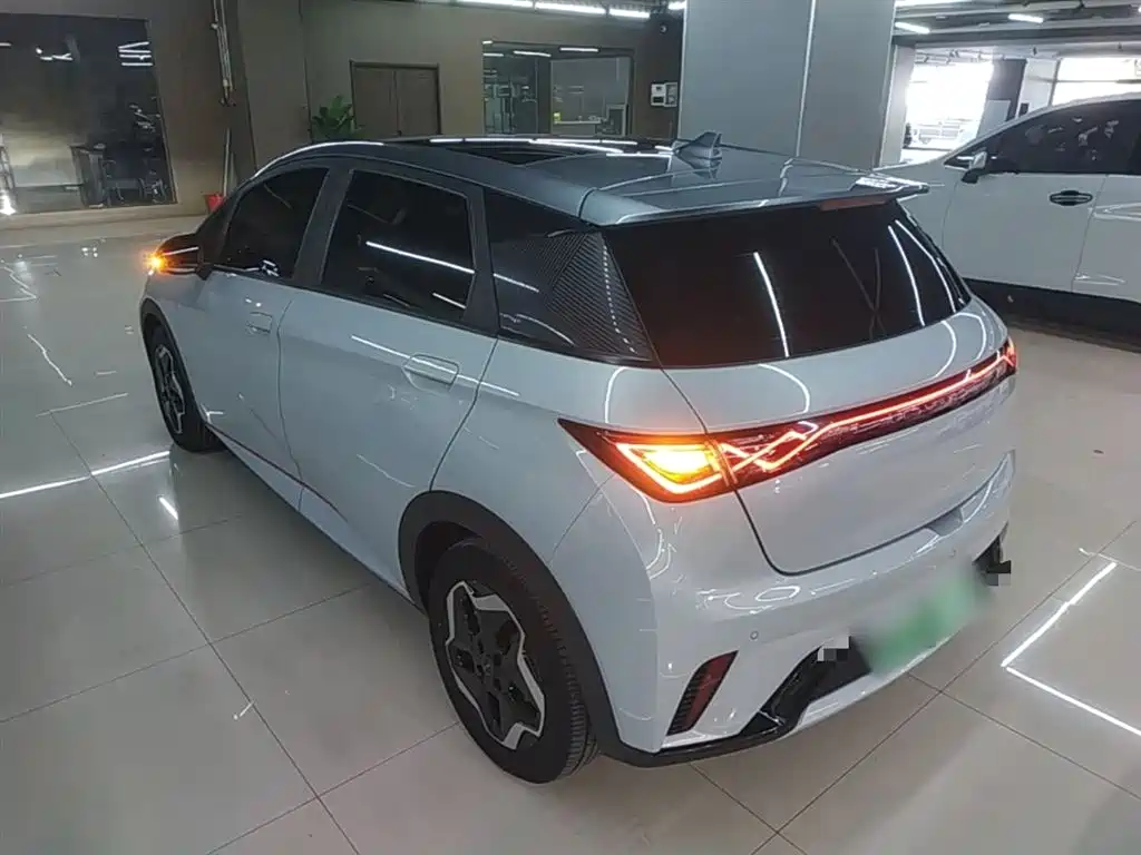 BYD Dolphin 2021 Model 405km Fashion Edition фото 5