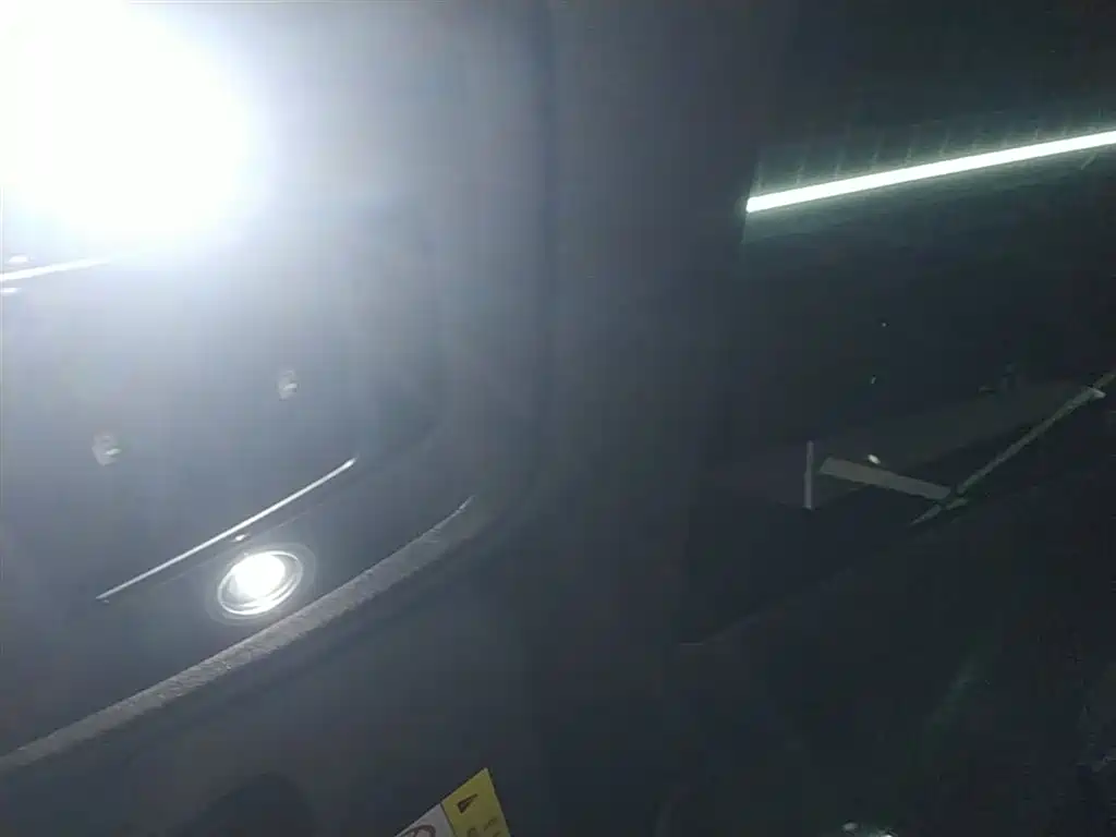BYD Dolphin 2021 Model 405km Fashion Edition фото 18