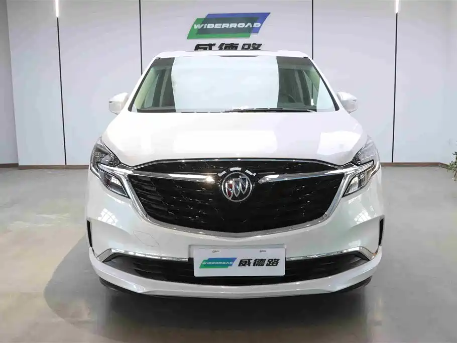 Buick GL8 2022 ES Landmark 653T Comfort фото 2