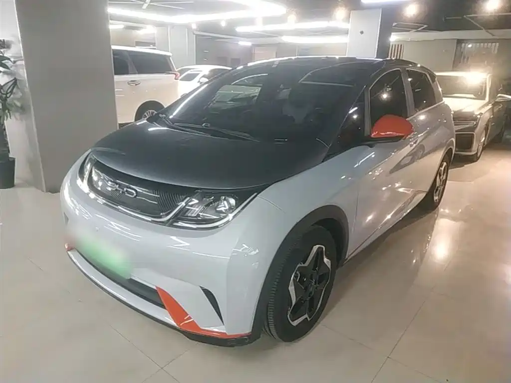 BYD Dolphin 2021 Model 405km Fashion Edition