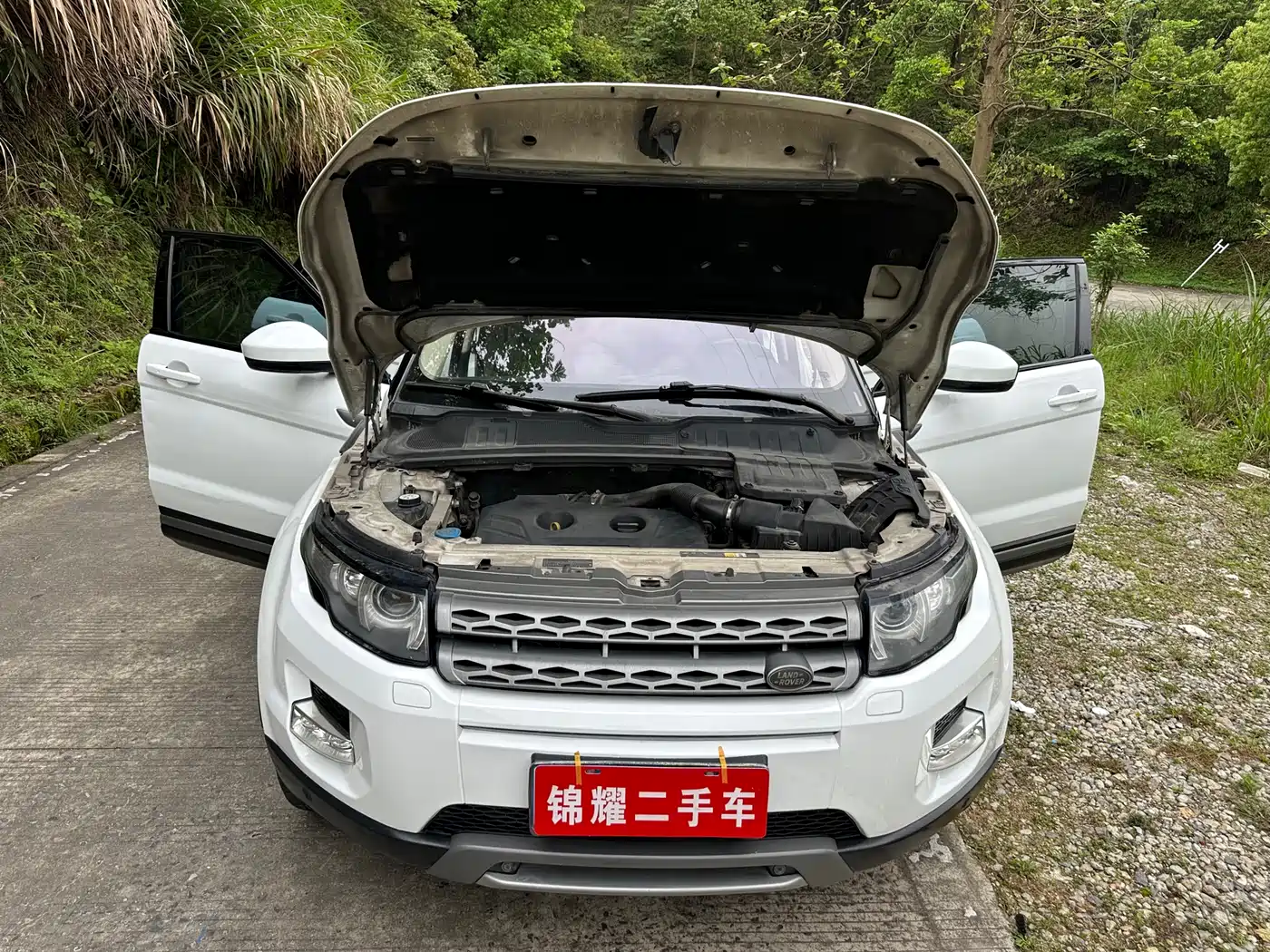 Land Rover Range Rover Evoque (Import) 2014 2.0T 5-door Brilliance Premium фото 24