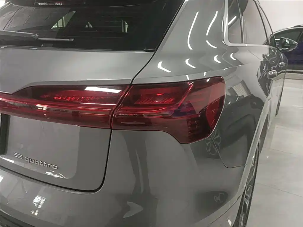 Audi e-tron (Import) 2019 55 quattro Technology фото 8
