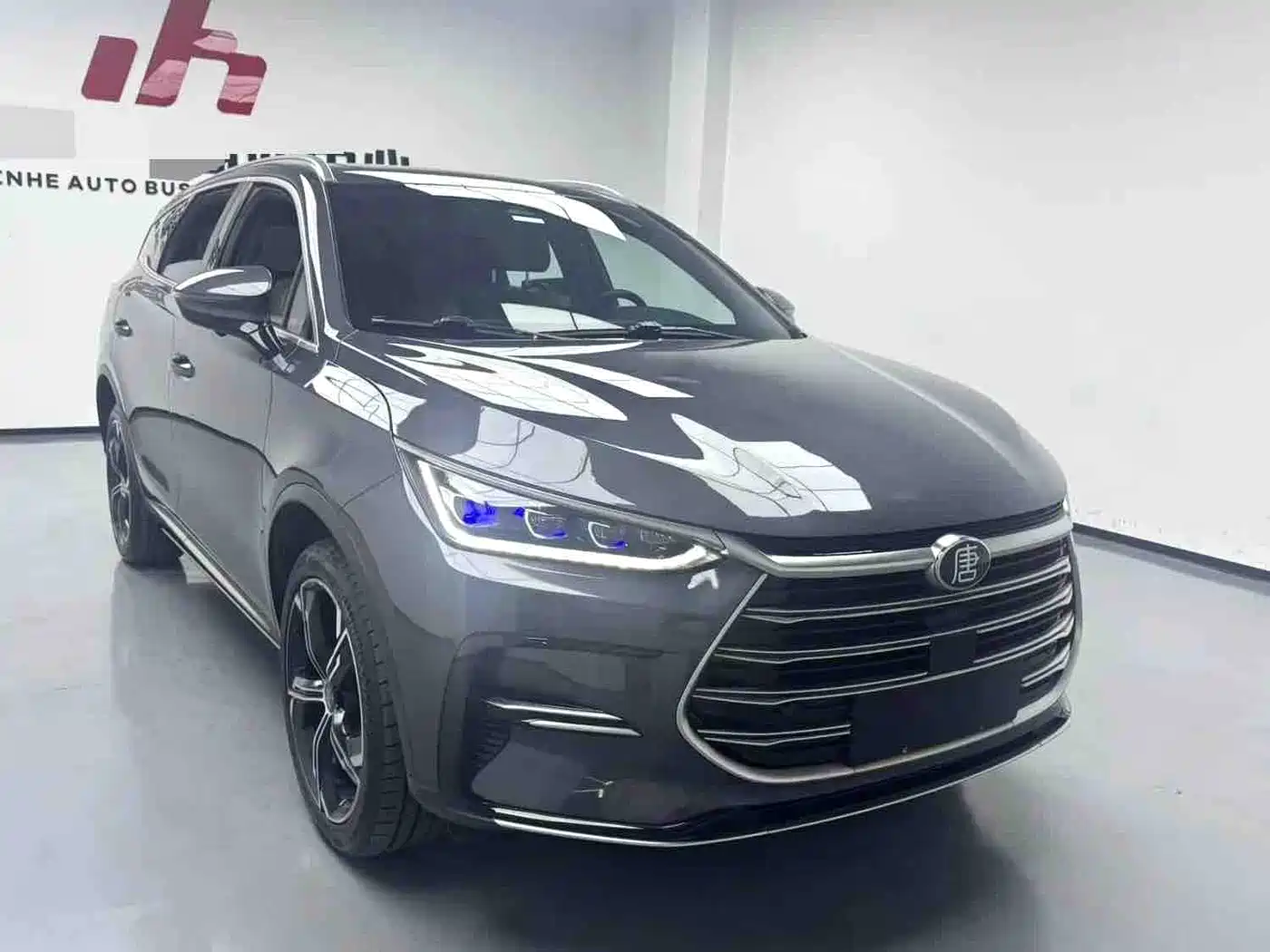 BYD Tang New Energy 2021 DM-i 112KM Premium фото 2
