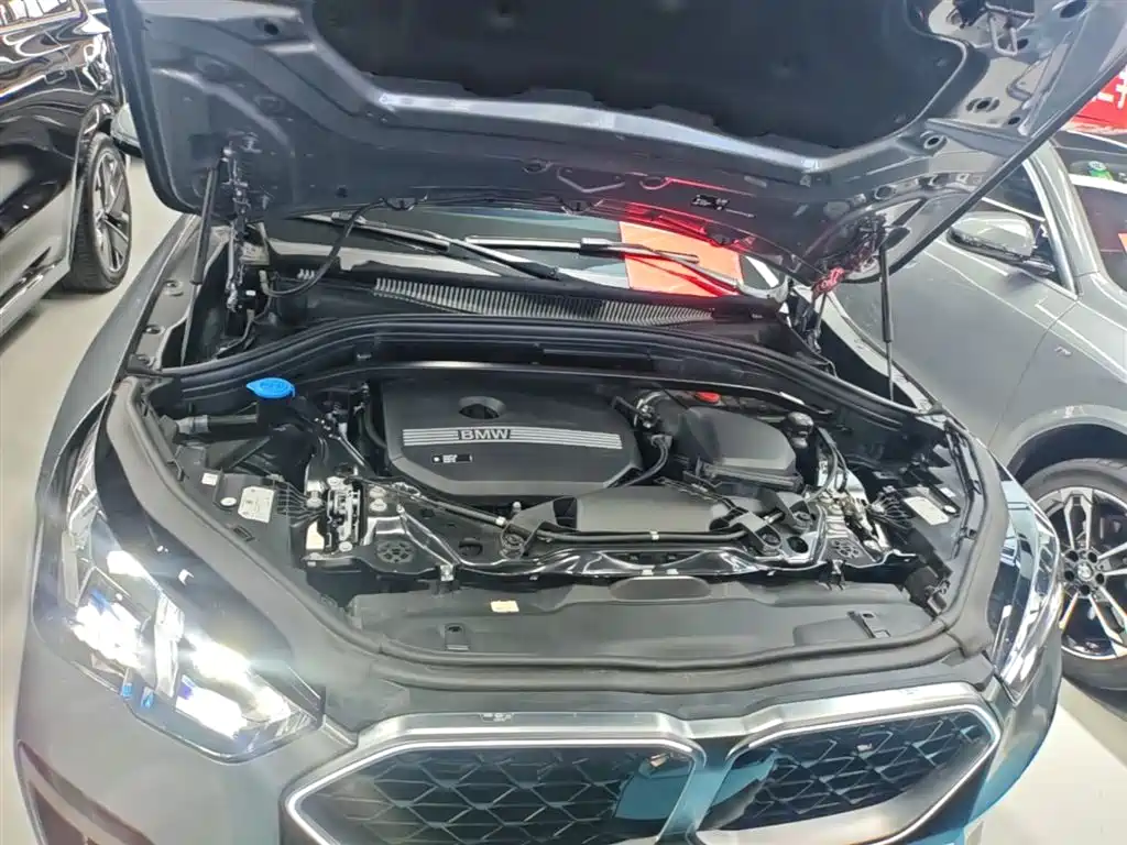 BMW X2 (Import) 2024 sDrive25i M Sport Package фото 20