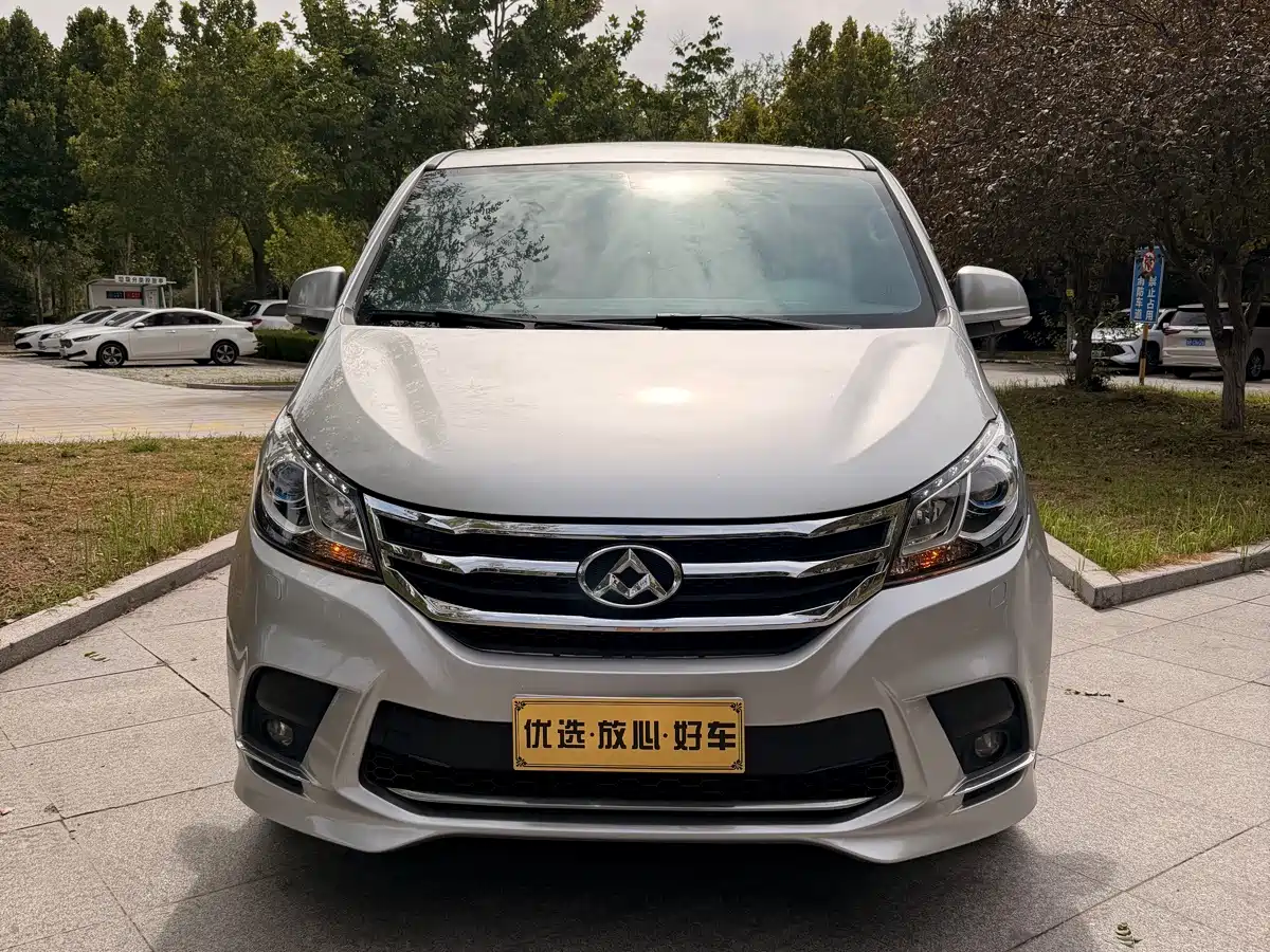 Фото 1 - Maxus G10
