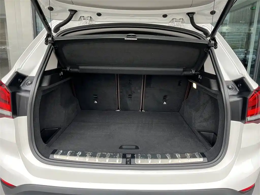 BMW X1 2020 xDrive25Li Premium Edition фото 9