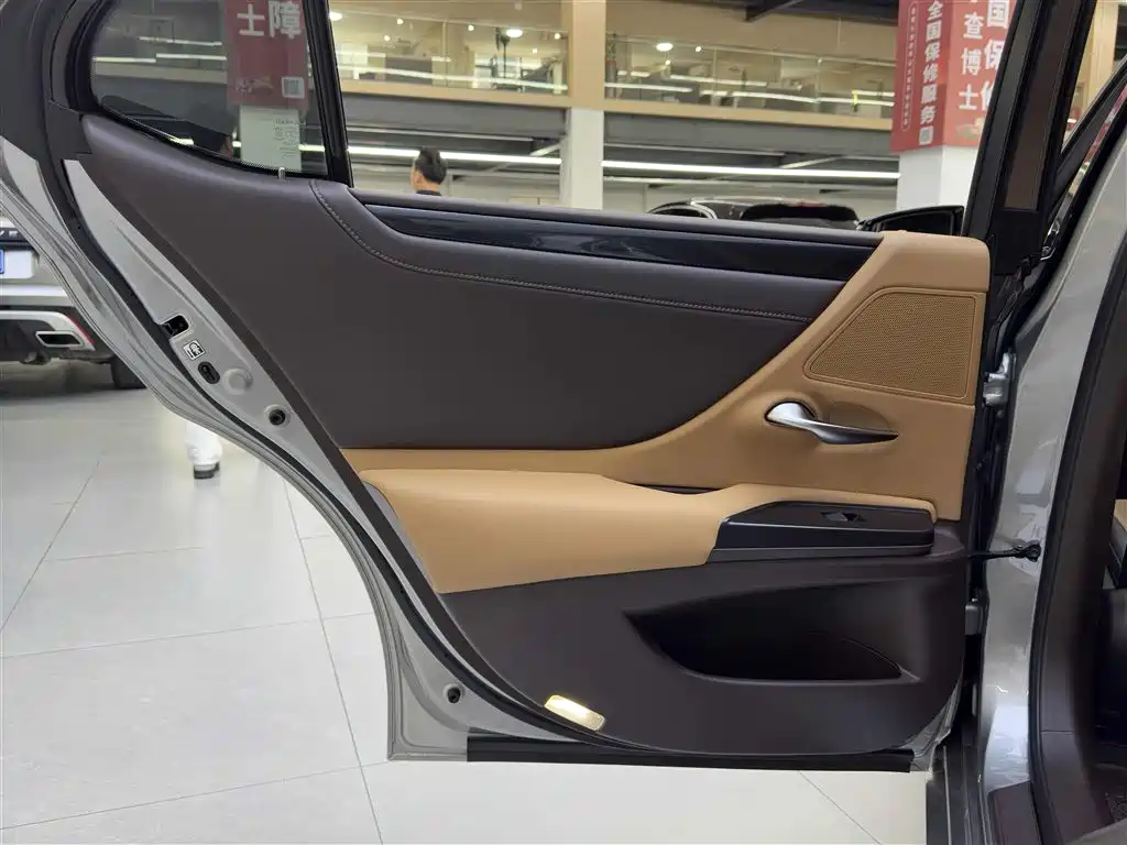 Lexus ES 2018 300h Excellence Edition China VI фото 13