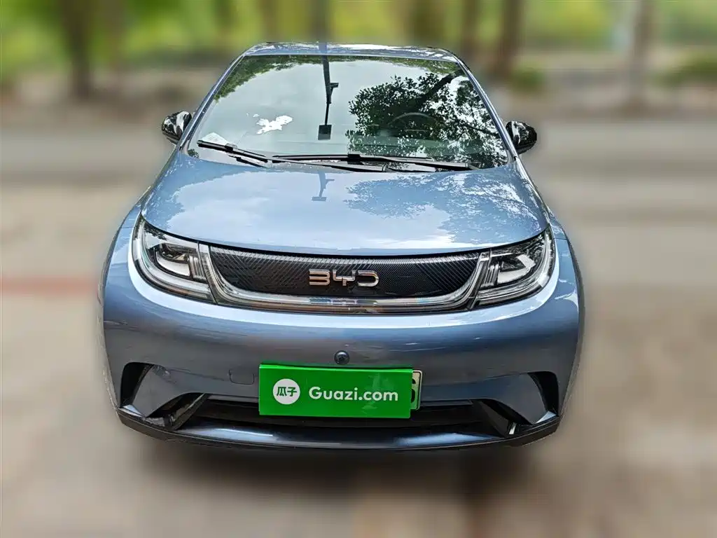BYD Dolphin 2024 Glory Edition 420km Freedom Edition фото 24