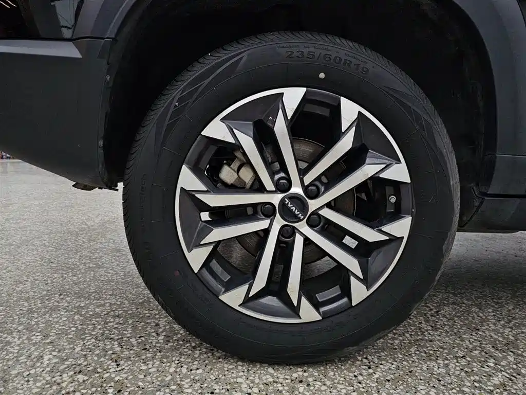 Haval Big Dog 2024 1.5T DCT Border Collie Edition фото 6