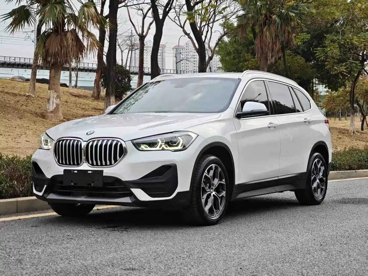 BMW X1 2020 sDrive25Li Leading Model