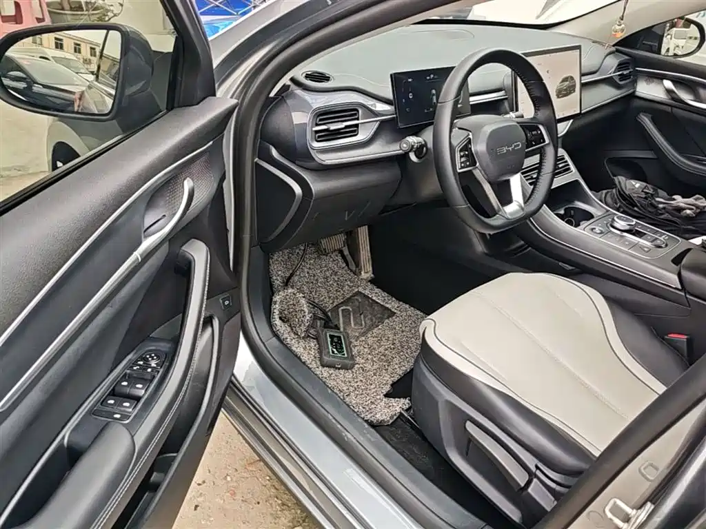 BYD Destroyer 05 2023 Champion Edition DM-i 55KM Luxury фото 16