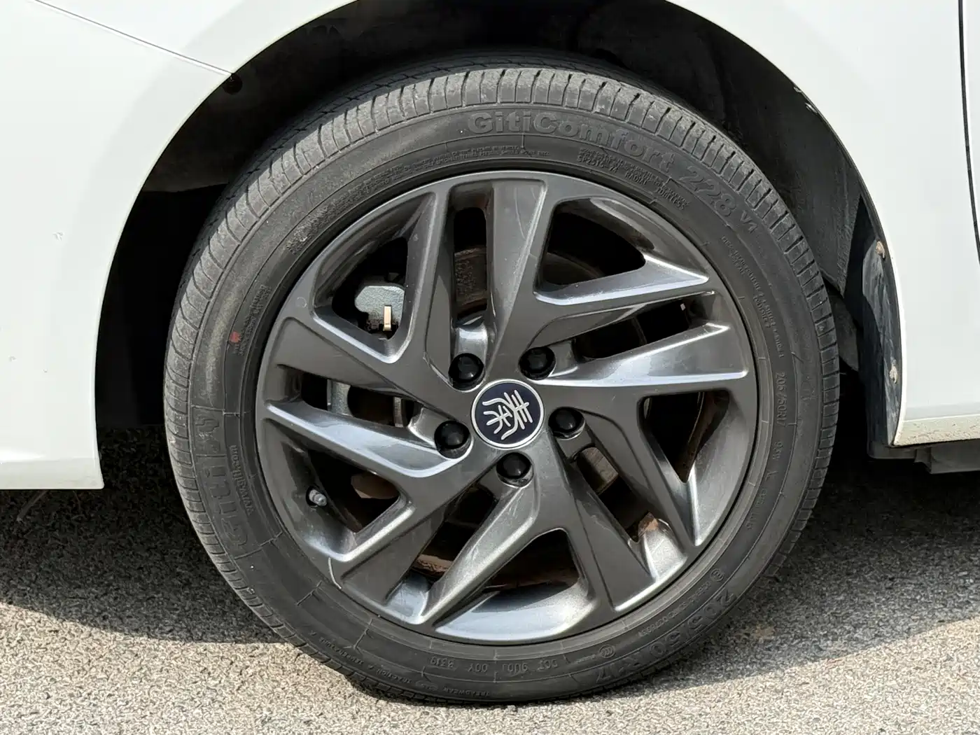 BYD Qin New Energy 2019 Long Range Edition Premium фото 5