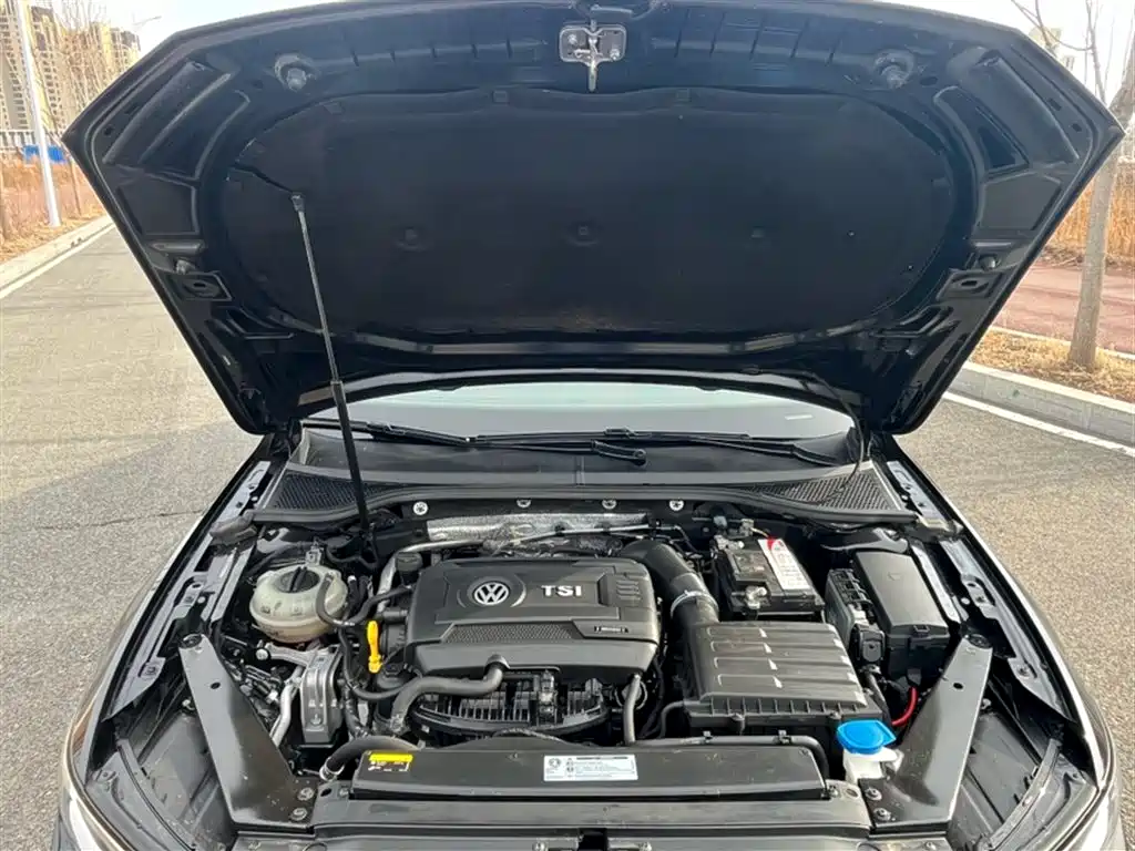 Volkswagen Magotan 2018 330TSI DSG Leading фото 2