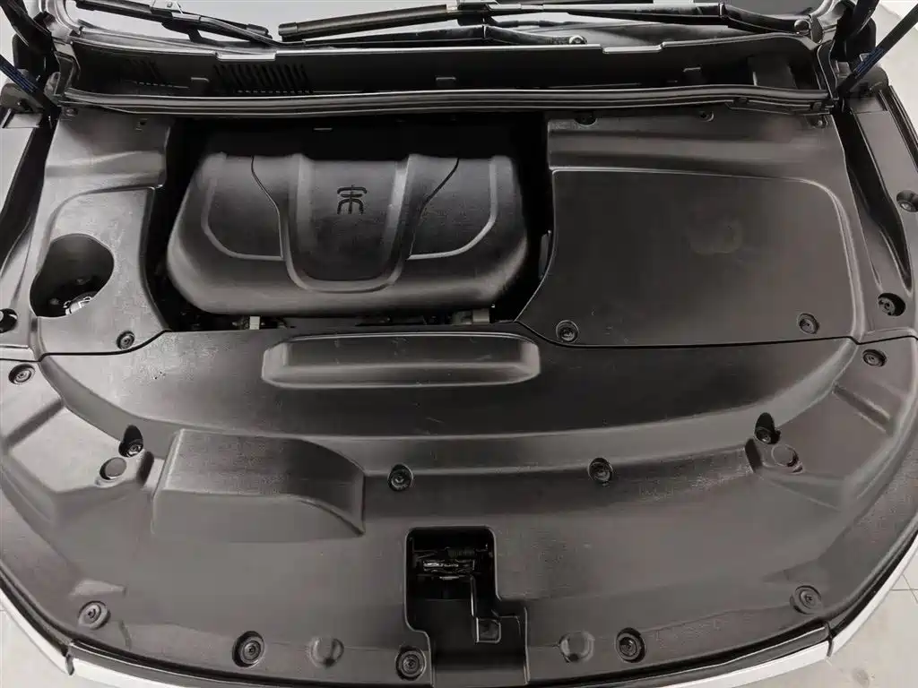 BYD Song MAX 2018 1.5T Auto Smart Connected Flagship 7-Seater фото 6