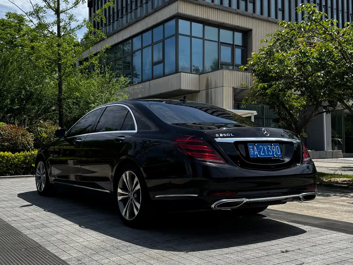 Mercedes-Benz S-Class 2020 S 350 L Premium Edition Collector's Version фото 4