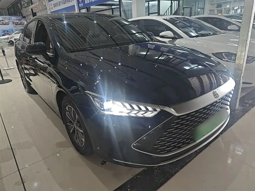 BYD Qin PLUS 2024 Glory Edition DM-i 55KM Leading фото 4