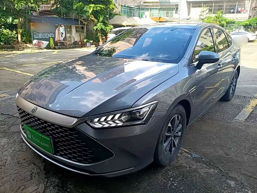 BYD Qin PLUS 2024 Glory Edition DM-i 55KM Leading