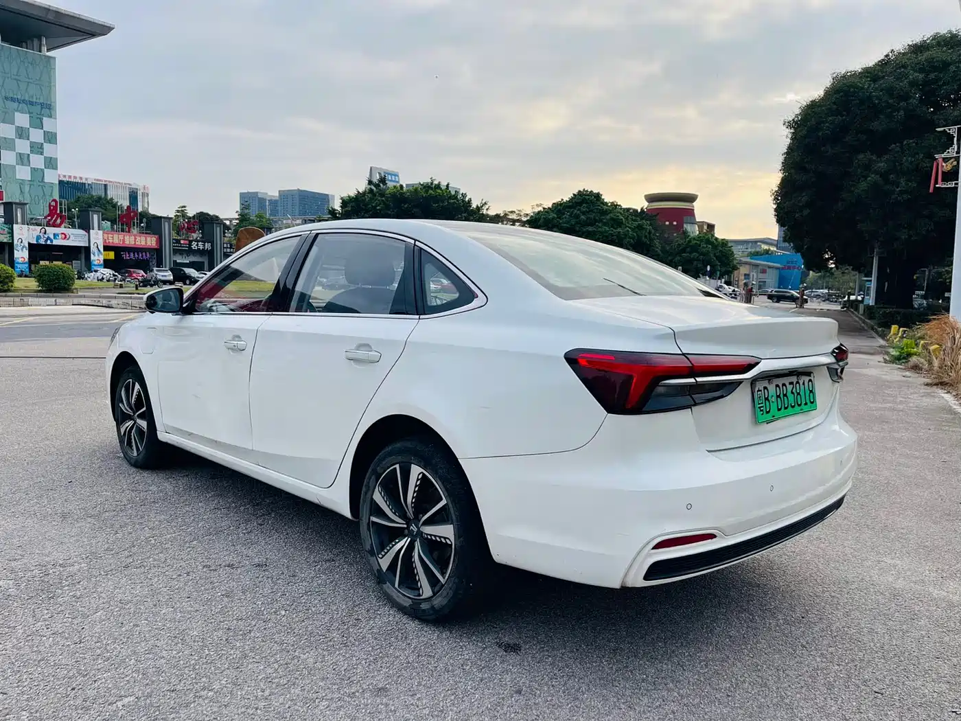 RISING AUTO FEIFAN ER6