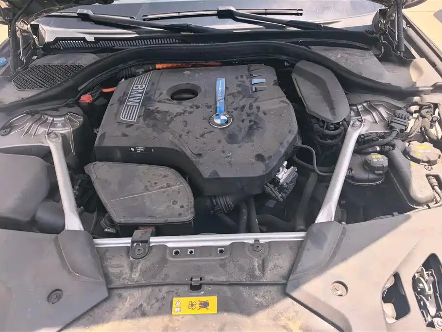 BMW 5 Series New Energy 2020 530Le Luxury Package фото 10
