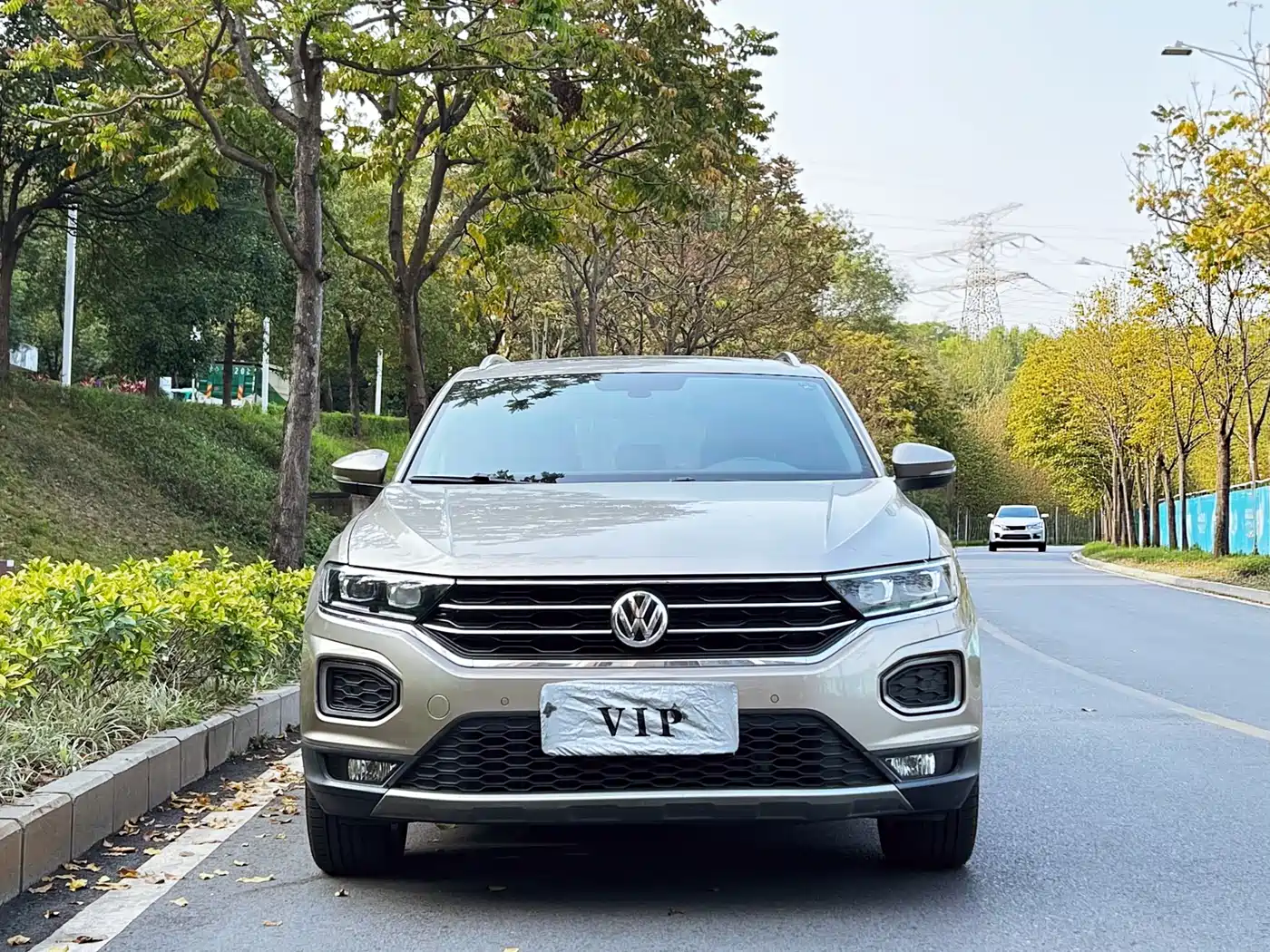 Volkswagen T-ROC 2019 280TSI DSG 2WD Luxury Type China VI фото 2