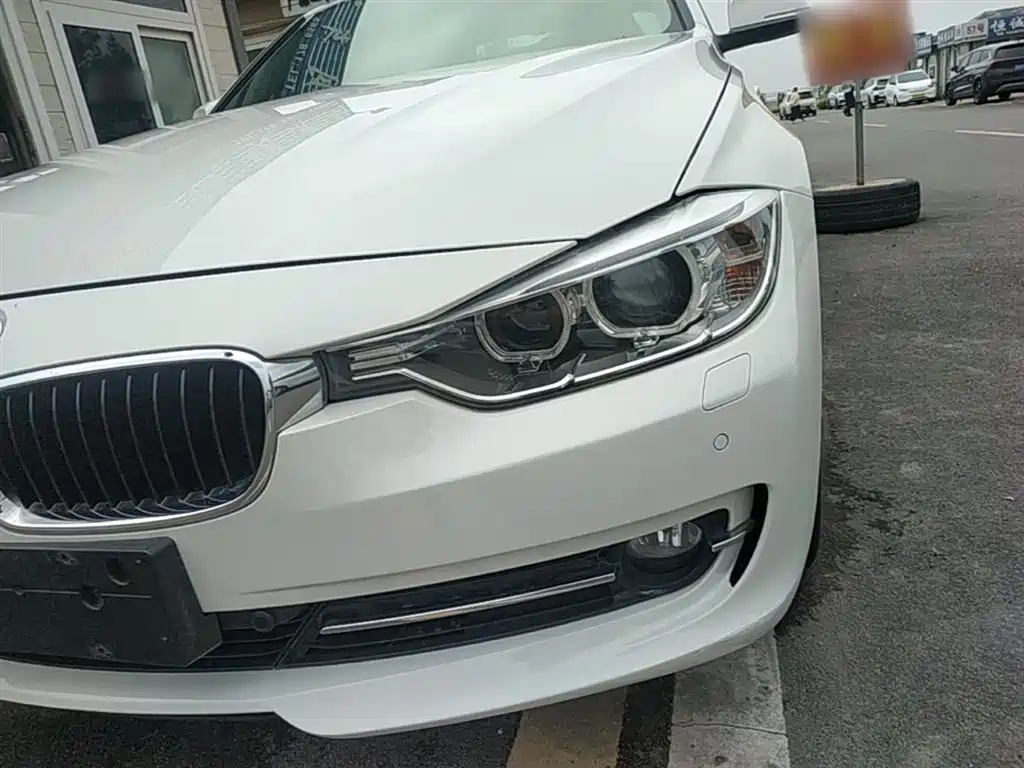BMW 3 Series 2015 316Li Fashion фото 24