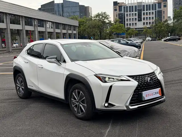 Lexus UX Electric 2020 300e Pure Yue Edition — фото 3
