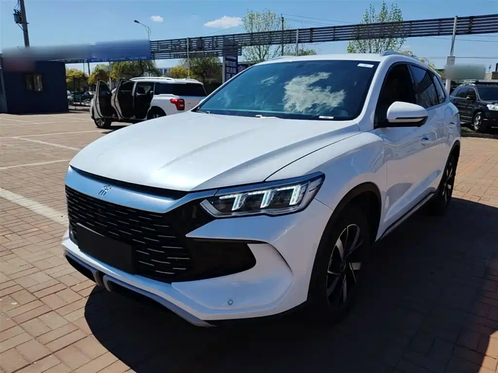 BYD Song Pro New Energy 2024 Glory Edition DM-i 71KM Pilot фото 2