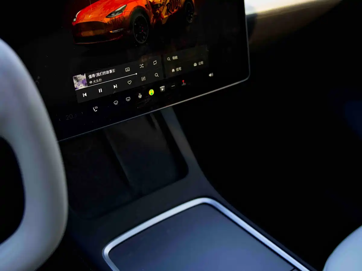 TESLA MODEL Y