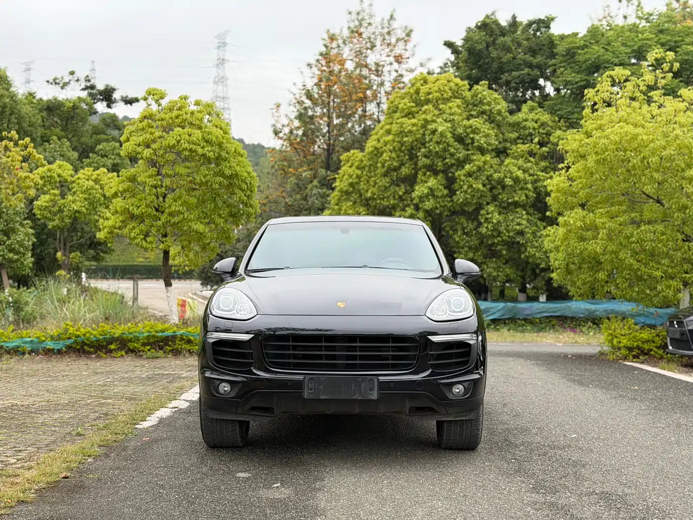 Porsche Cayenne 2016 Cayenne Platinum Edition 3.0T фото 2
