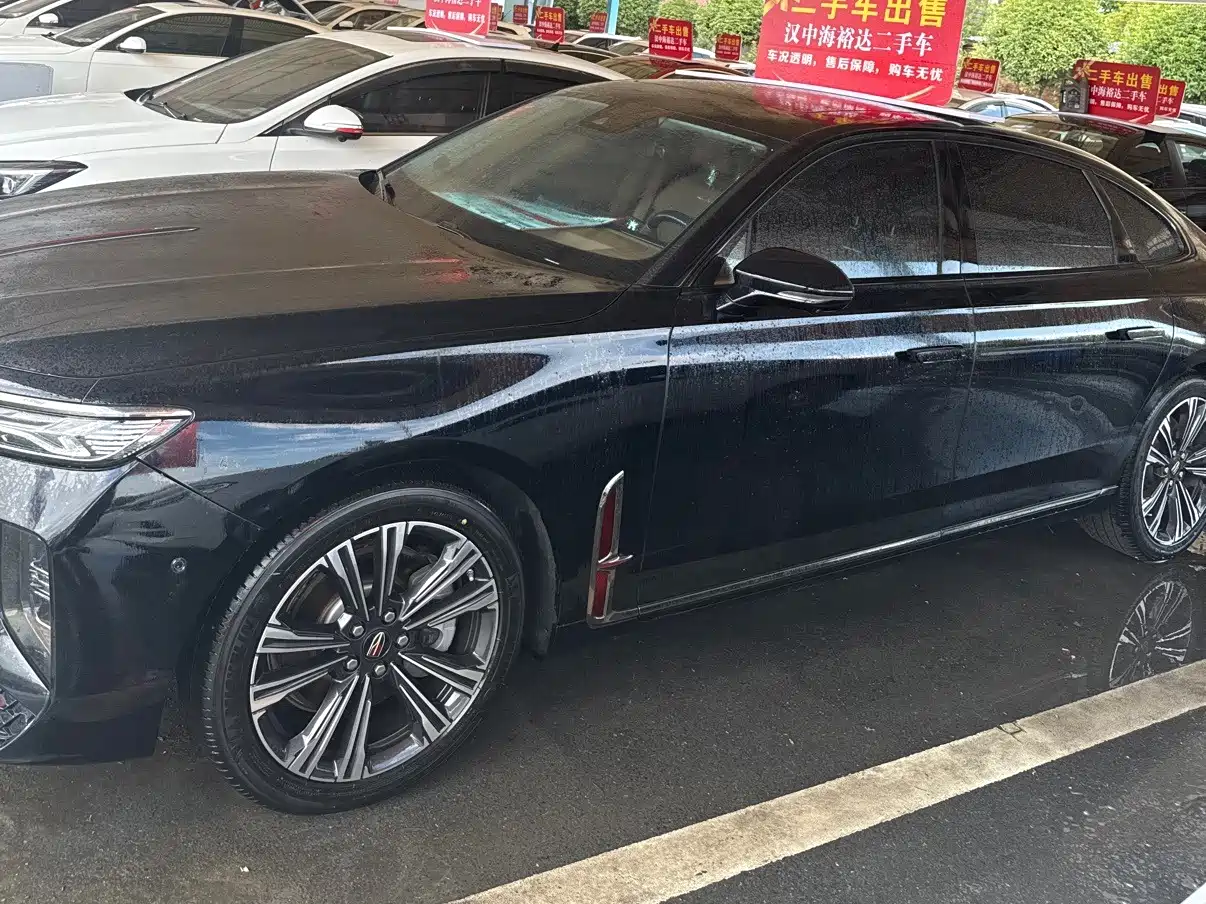 Фото 3 - Hongqi H9