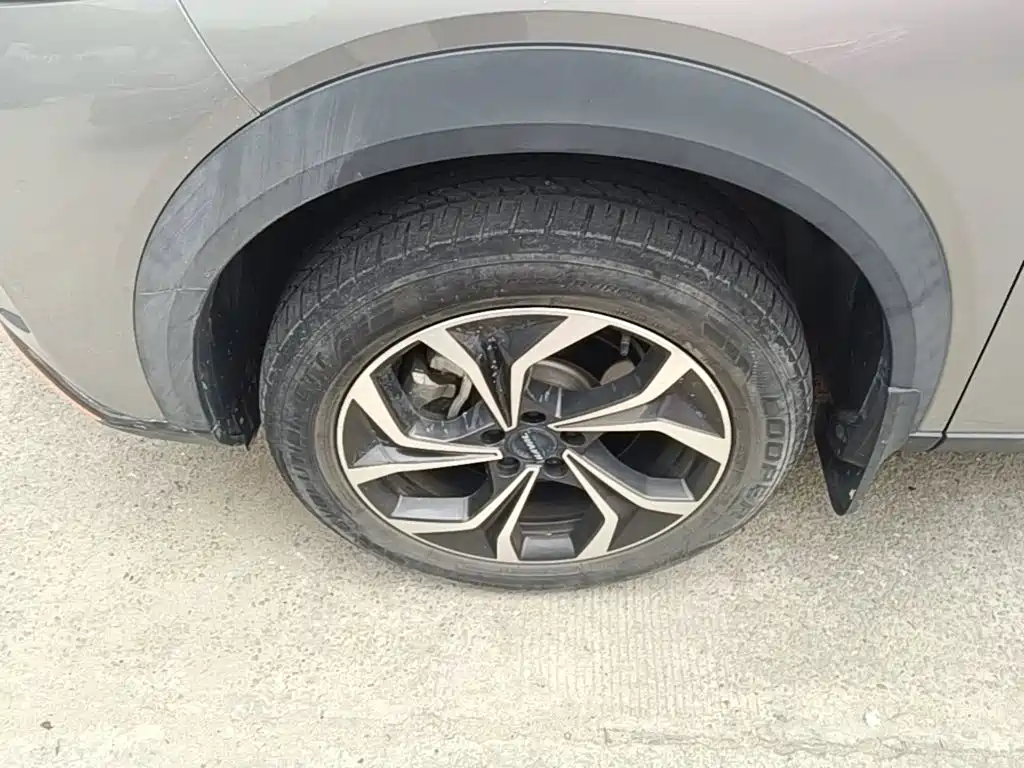 Haval Shenshou 2022 2022 1.5T Smart Enjoyment Edition