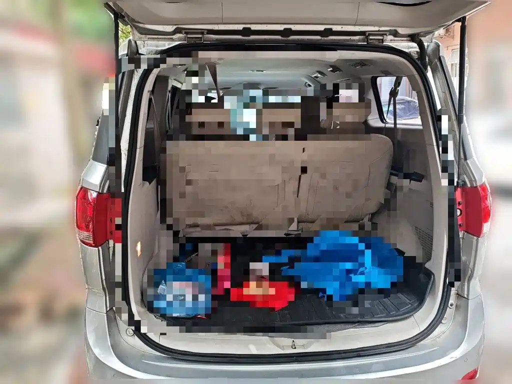 Photo 20 - SAIC Maxus Maxus G10